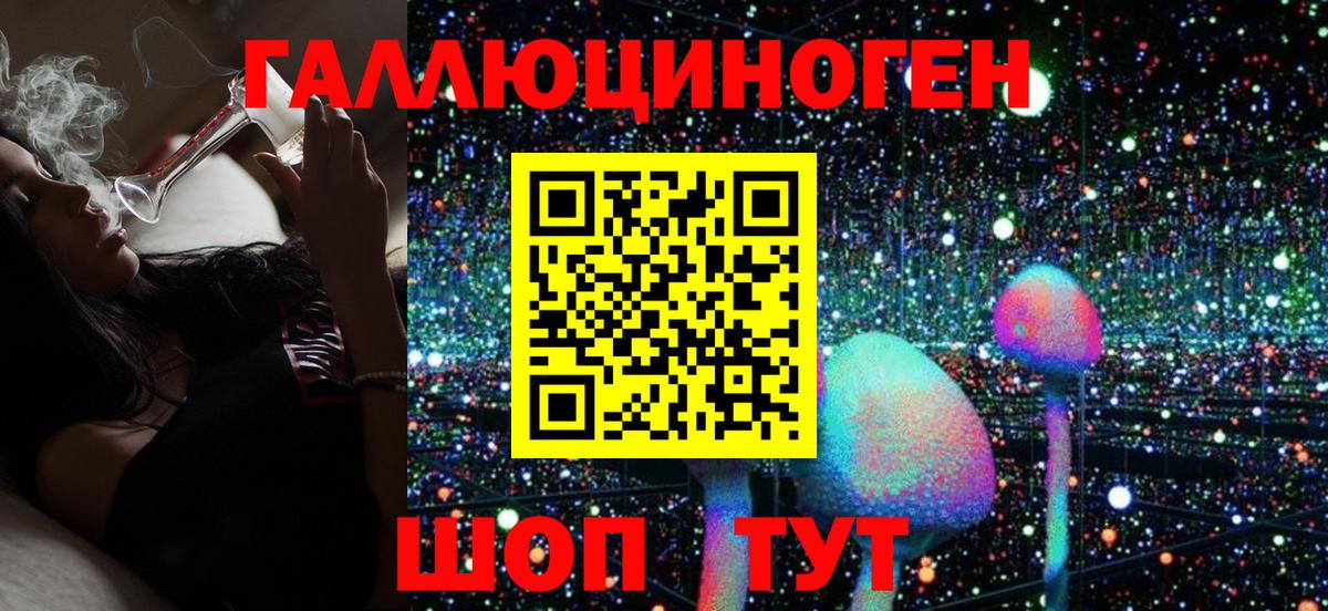 Галлюциногенные грибы Psilocybine cubensis Светлоград